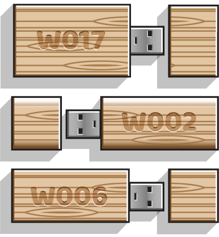 Wooden USB Styles
