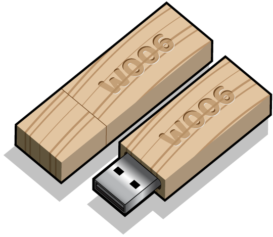 Custom Wooden USB Styles