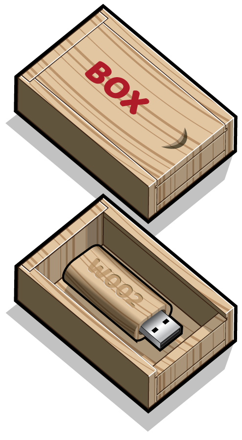 Printed Wooden USB Box