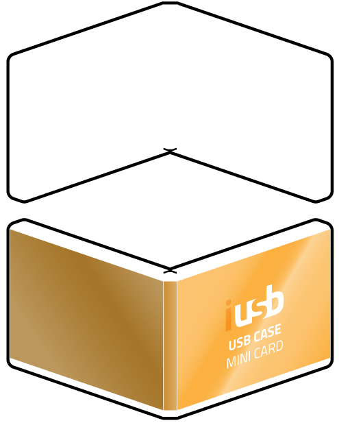Promotional USB - Packaging-USB-case-mini-card-iUSB