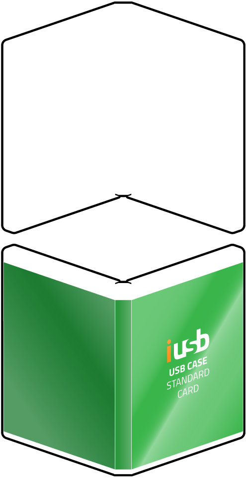 USB-case-standard-card