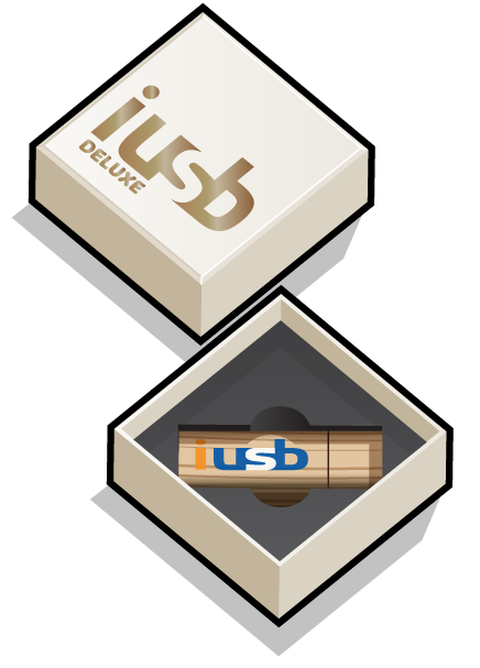 USB printed foiled deluxe box