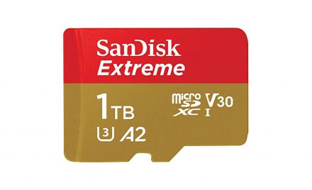 Micro SD cards - 1TB