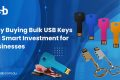 Shop in Bulk USB Keys for Better Investment