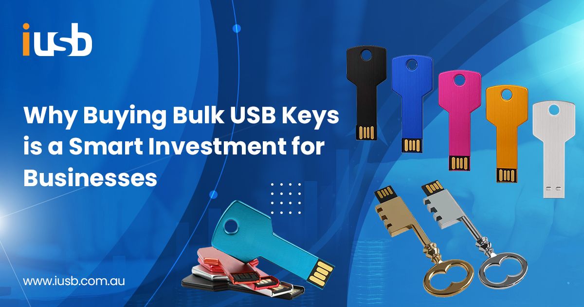 Shop in Bulk USB Keys for Better Investment